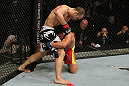SAN JOSE, CA - NOVEMBER 19: (L-R) Wanderlei Silva punches Cung Le wrapped arund his leg during an UFC Middleweight bout at the HP Pavillion on November 19, 2011 in San Jose, California.  (Photo by Josh Hedges/Zuffa LLC/Zuffa LLC via Getty Images)