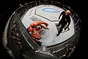 SAN JOSE, CA - NOVEMBER 19: Mauricio Rua (top) attacks Dan Henderson (bottom) up against the righ during an UFC Light Heavyweight bout at the HP Pavillion on November 19, 2011 in San Jose, California.  (Photo by Josh Hedges/Zuffa LLC/Zuffa LLC via Getty Images)