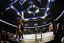 SAN JOSE, CA - NOVEMBER 19: UFC Octagon Girl Arianny Celeste introduces round one during the Ryan Bader/Jason Brilz UFC Light Heavywieght bout at the HP Pavillion on November 19, 2011 in San Jose, California.  (Photo by Josh Hedges/Zuffa LLC/Zuffa LLC via Getty Images)