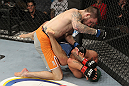 Johnny Bedford vs Louis Gaudinot
