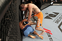 Johnny Bedford vs Louis Gaudinot