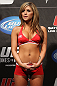 TORONTO, ON - DECEMBER 09:  UFC Octagon Girl Brittney Palmer attends the UFC 140 Official Weigh-in at the Air Canada Centre on December 9, 2011 in Toronto, Canada.  (Photo by Josh Hedges/Zuffa LLC/Zuffa LLC via Getty Images)