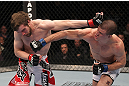 TORONTO, ON - DECEMBER 10:  (R-L) John Cholish punches Mitch Clarke during the UFC 140 event at Air Canada Centre on December 10, 2011 in Toronto, Canada.  (Photo by Nick Laham/Zuffa LLC/Zuffa LLC)