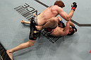TORONTO, ON - DECEMBER 10:  (L-R) Mark Bocek punches Nik Lentz during the UFC 140 event at Air Canada Centre on December 10, 2011 in Toronto, Ontario, Canada.  (Photo by Nick Laham/Zuffa LLC/Zuffa LLC via Getty Images)