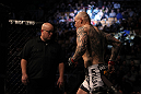 TORONTO, ON - DECEMBER 10:  Krzysztof Soszynski enters the Octagon before his bout against Igor Pokrajac during the UFC 140 event at Air Canada Centre on December 10, 2011 in Toronto, Ontario, Canada.  (Photo by Josh Hedges/Zuffa LLC/Zuffa LLC via Getty Images)