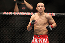 TORONTO, ON - DECEMBER 10:  Mark Hominick of London, Ontario stands in the Octagon before his bout with Chan Sung Jung during the UFC 140 event at Air Canada Centre on December 10, 2011 in Toronto, Ontario, Canada.  (Photo by Josh Hedges/Zuffa LLC/Zuffa LLC via Getty Images)