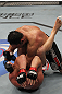 TORONTO, ON - DECEMBER 10:  Antonio Rogerio Nogueira (top) delivers an elbow strike to the ribs of Tito Ortiz during the UFC 140 event at Air Canada Centre on December 10, 2011 in Toronto, Ontario, Canada.  (Photo by Nick Laham/Zuffa LLC/Zuffa LLC via Getty Images)