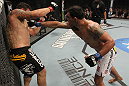 TORONTO, ON - DECEMBER 10:  (R-L) Antonio Rodrigo Nogueira punches Frank Mir during the UFC 140 event at Air Canada Centre on December 10, 2011 in Toronto, Ontario, Canada.  (Photo by Nick Laham/Zuffa LLC/Zuffa LLC via Getty Images)