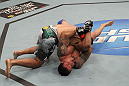 TORONTO, ON - DECEMBER 10:  Frank Mir (bottom) secures an arm lock against Antonio Rodrigo Nogueira during the UFC 140 event at Air Canada Centre on December 10, 2011 in Toronto, Ontario, Canada.  (Photo by Nick Laham/Zuffa LLC/Zuffa LLC via Getty Images)