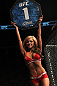 TORONTO, ON - DECEMBER 10:  UFC Octagon Girl Brittney Palmer introduces round one before the Hallman v Makdessi bout during the UFC 140 event at Air Canada Centre on December 10, 2011 in Toronto, Ontario, Canada.  (Photo by Nick Laham/Zuffa LLC/Zuffa LLC via Getty Images)