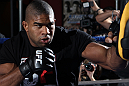 Alistair Overeem