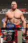 Brock Lesnar
