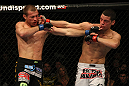 LAS VEGAS, NV - DECEMBER 30:  Donald Cerrone (left) and Nate Diaz (right) exchange blows during the UFC 141 event at the MGM Grand Garden Arena on December 30, 2011 in Las Vegas, Nevada.  (Photo by Donald Miralle/Zuffa LLC/Zuffa LLC via Getty Images) *** Local Caption *** Donald Cerrone; Nate Diaz