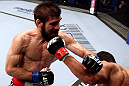 RIO DE JANEIRO, BRAZIL - JANUARY 14:  Felipe Arantes (R) lands a punch as Antonio Carvalho (L) misses in a featherweight bout during UFC 142 at HSBC Arena on January 14, 2012 in Rio de Janeiro, Brazil.  (Photo by Josh Hedges/Zuffa LLC/Zuffa LLC via Getty Images)