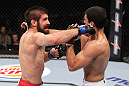 RIO DE JANEIRO, BRAZIL - JANUARY 14:  Antonio Carvalho (L) punches Felipe Arantes (R) in a featherweight bout during UFC 142 at HSBC Arena on January 14, 2012 in Rio de Janeiro, Brazil.  (Photo by Josh Hedges/Zuffa LLC/Zuffa LLC via Getty Images)