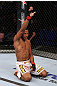 RIO DE JANEIRO, BRAZIL - JANUARY 14:  Yuri Alcantara celebrates after defeating Michihiro Omigawa in a featherweight bout during UFC 142 at HSBC Arena on January 14, 2012 in Rio de Janeiro, Brazil.  (Photo by Josh Hedges/Zuffa LLC/Zuffa LLC via Getty Images)