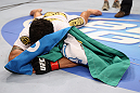 RIO DE JANEIRO, BRAZIL - JANUARY 14:  Thiago Tavares celebrates after defeating Sam Stout in a lightweight bout during UFC 142 at HSBC Arena on January 14, 2012 in Rio de Janeiro, Brazil.  (Photo by Josh Hedges/Zuffa LLC/Zuffa LLC via Getty Images)
