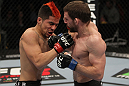 NASHVILLE, TN - JANUARY 20:  (R-L) Nick Denis punches Joseph Sandoval during the UFC on FX event at Bridgestone Arena on January 20, 2012 in Nashville, Tennessee.  (Photo by Josh Hedges/Zuffa LLC/Zuffa LLC via Getty Images)