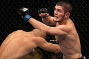 NASHVILLE, TN - JANUARY 20:  (R-L) Khabib Nurmagomedov punches Kamal Shalorus during the UFC on FX event at Bridgestone Arena on January 20, 2012 in Nashville, Tennessee.  (Photo by Josh Hedges/Zuffa LLC/Zuffa LLC via Getty Images)