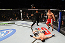 NASHVILLE, TN - JANUARY 20:  Pat Barry (red shorts) reacts after knocking out Christian Morecraft during the UFC on FX event at Bridgestone Arena on January 20, 2012 in Nashville, Tennessee.  (Photo by Josh Hedges/Zuffa LLC/Zuffa LLC via Getty Images)