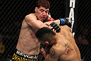 NASHVILLE, TN - JANUARY 20:  (R-L) Mike Easton and Jared Papazian trade punches during the UFC on FX event at Bridgestone Arena on January 20, 2012 in Nashville, Tennessee.  (Photo by Josh Hedges/Zuffa LLC/Zuffa LLC via Getty Images)