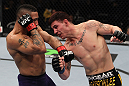 NASHVILLE, TN - JANUARY 20:  (R-L) Jared Papazian punches Mike Easton during the UFC on FX event at Bridgestone Arena on January 20, 2012 in Nashville, Tennessee.  (Photo by Josh Hedges/Zuffa LLC/Zuffa LLC via Getty Images)