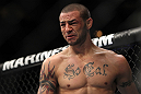 CHICAGO, IL - JANUARY 28:  Cub Swanson reacts after his knockout victory over George Roop during the UFC on FOX event at United Center on January 28, 2012 in Chicago, Illinois.  (Photo by Josh Hedges/Zuffa LLC/Zuffa LLC via Getty Images) *** Local Caption *** Cub Swanson