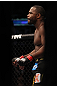 CHICAGO, IL - JANUARY 28:  Rashad Evans stands in the Octagon before his bout against Phil Davis during the UFC on FOX event at United Center on January 28, 2012 in Chicago, Illinois.  (Photo by Nick Laham/Zuffa LLC/Zuffa LLC via Getty Images) *** Local Caption *** Rashad Evans