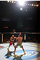 LAS VEGAS, NV - FEBRUARY 04:  Chris Cope (left) punches Matt Brown during the UFC 143 event at Mandalay Bay Events Center on February 4, 2012 in Las Vegas, Nevada.  (Photo by Nick Laham/Zuffa LLC/Zuffa LLC via Getty Images) *** Local Caption *** Chris Cope; Matt Brown