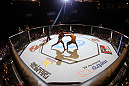 LAS VEGAS, NV - FEBRUARY 04:  (L-R) Alex Caceres and Edwin Figueroa exchange blows during the UFC 143 event at Mandalay Bay Events Center on February 4, 2012 in Las Vegas, Nevada.  (Photo by Nick Laham/Zuffa LLC/Zuffa LLC via Getty Images) *** Local Caption *** Alex Caceres; Edwin Figueroa