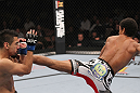 LAS VEGAS, NV - FEBRUARY 04:  Alex Caceres (right) kicks Edwin Figueroa during the UFC 143 event at Mandalay Bay Events Center on February 4, 2012 in Las Vegas, Nevada.  (Photo by Nick Laham/Zuffa LLC/Zuffa LLC via Getty Images) *** Local Caption *** Alex Caceres; Edwin Figueroa