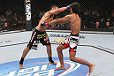 LAS VEGAS, NV - FEBRUARY 04:  Edwin Figueroa (left) punches Alex Caceres during the UFC 143 event at Mandalay Bay Events Center on February 4, 2012 in Las Vegas, Nevada.  (Photo by Nick Laham/Zuffa LLC/Zuffa LLC via Getty Images) *** Local Caption *** Edwin Figueroa; Alex Caceres