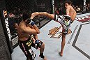 LAS VEGAS, NV - FEBRUARY 04:  Alex Caceres (right) kicks Edwin Figueroa during the UFC 143 event at Mandalay Bay Events Center on February 4, 2012 in Las Vegas, Nevada.  (Photo by Nick Laham/Zuffa LLC/Zuffa LLC via Getty Images) *** Local Caption *** Alex Caceres; Edwin Figueroa