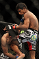 LAS VEGAS, NV - FEBRUARY 04:  Alex Caceres (white shorts) and Edwin Figueroa exchange blows during the UFC 143 event at Mandalay Bay Events Center on February 4, 2012 in Las Vegas, Nevada.  (Photo by Josh Hedges/Zuffa LLC/Zuffa LLC via Getty Images) *** Local Caption *** Alex Caceres; Edwin Figueroa