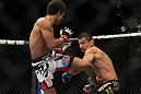 LAS VEGAS, NV - FEBRUARY 04:  Alex Caceres (left) kicks Edwin Figueroa during the UFC 143 event at Mandalay Bay Events Center on February 4, 2012 in Las Vegas, Nevada.  (Photo by Josh Hedges/Zuffa LLC/Zuffa LLC via Getty Images) *** Local Caption *** Alex Caceres; Edwin Figueroa