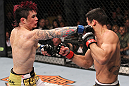 LAS VEGAS, NV - FEBRUARY 04:  Scott Jorgensen (left) punches Renan Barao during the UFC 143 event at Mandalay Bay Events Center on February 4, 2012 in Las Vegas, Nevada.  (Photo by Nick Laham/Zuffa LLC/Zuffa LLC via Getty Images) *** Local Caption *** Scott Jorgensen; Renan Barao