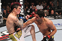 LAS VEGAS, NV - FEBRUARY 04:  Renan Barao (right) punches Scott Jorgensen during the UFC 143 event at Mandalay Bay Events Center on February 4, 2012 in Las Vegas, Nevada.  (Photo by Nick Laham/Zuffa LLC/Zuffa LLC via Getty Images) *** Local Caption *** Renan Barao; Scott Jorgensen