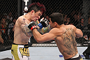 LAS VEGAS, NV - FEBRUARY 04:  Renan Barao (right) punches Scott Jorgensen during the UFC 143 event at Mandalay Bay Events Center on February 4, 2012 in Las Vegas, Nevada.  (Photo by Nick Laham/Zuffa LLC/Zuffa LLC via Getty Images) *** Local Caption *** Renan Barao; Scott Jorgensen