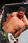 LAS VEGAS, NV - FEBRUARY 04:  Roy Nelson attempts to submit Fabricio Werdum during the UFC 143 event at Mandalay Bay Events Center on February 4, 2012 in Las Vegas, Nevada.  (Photo by Nick Laham/Zuffa LLC/Zuffa LLC via Getty Images) *** Local Caption *** Roy Nelson