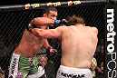 LAS VEGAS, NV - FEBRUARY 04:  Fabricio Werdum (left) punches Roy Nelson during the UFC 143 event at Mandalay Bay Events Center on February 4, 2012 in Las Vegas, Nevada.  (Photo by Nick Laham/Zuffa LLC/Zuffa LLC via Getty Images) *** Local Caption *** Fabricio Werdum; Roy Nelson