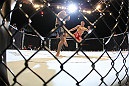 LAS VEGAS - FEBRUARY 04:  (R-L) Nick Diaz kicks Carlos Condit during the UFC 143 event at Mandalay Bay Events Center on February 4, 2012 in Las Vegas, Nevada.  (Photo by Nick Laham/Zuffa LLC/Zuffa LLC via Getty Images) *** Local Caption *** Nick Diaz; Carlos Condit