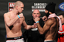 OMAHA, NE - FEBRUARY 14:  (L-R) Heavyweight opponents Stefan Struve and Dave Herman face off after weighing in during the UFC on FUEL TV weigh in event at Omaha Civic Auditorium on February 14, 2012 in Omaha, Nebraska.  (Photo by Josh Hedges/Zuffa LLC/Zuffa LLC via Getty Images) *** Local Caption *** Stefan Struve; Dave Herman; Dana White