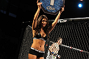 OMAHA, NE - FEBRUARY 15:  UFC Octagon Girl Brittney Palmer introduces round one before the Menjivar v Albert bout during the UFC on FUEL TV event at Omaha Civic Auditorium on February 15, 2012 in Omaha, Nebraska.  (Photo by Josh Hedges/Zuffa LLC/Zuffa LLC via Getty Images) *** Local Caption *** Arianny Celeste