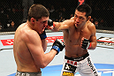 SAITAMA, JAPAN - FEBRUARY 26:  (R-L) RIki Fukuda punches Steve Cantwell during the UFC 144 event at Saitama Super Arena on February 26, 2012 in Saitama, Japan.  (Photo by Al Bello/Zuffa LLC/Zuffa LLC via Getty Images) *** Local Caption *** Riki Fukuda; Steve Cantwell