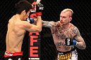 SAITAMA, JAPAN - FEBRUARY 26:  (R-L) Bart Palaszewski punches Hatsu Hioki during the UFC 144 event at Saitama Super Arena on February 26, 2012 in Saitama, Japan.  (Photo by Al Bello/Zuffa LLC/Zuffa LLC via Getty Images) *** Local Caption *** Hatsu Hioki; Bart Palaszewski