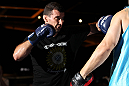 SYDNEY, AUSTRALIA - FEBRUARY 28:  Anthony Perosh works out for the media during the UFC on FX open workouts at the Star Casino on February 28, 2012 in Sydney, Australia.  (Photo by Josh Hedges/Zuffa LLC/Zuffa LLC via Getty Images) *** Local Caption *** Anthony Perosh