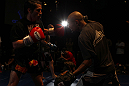 SYDNEY, AUSTRALIA - FEBRUARY 28:  Ian McCall works out for the media during the UFC on FX open workouts at the Star Casino on February 28, 2012 in Sydney, Australia.  (Photo by Josh Hedges/Zuffa LLC/Zuffa LLC via Getty Images) *** Local Caption *** Ian McCall