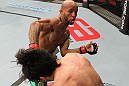 SYDNEY, AUSTRALIA - MARCH 03:  (R-L) Demetrious Johnson punches Ian McCall in a flyweight bout during the UFC on FX event at Allphones Arena on March 3, 2012 in Sydney, Australia.  (Photo by Josh Hedges/Zuffa LLC/Zuffa LLC via Getty Images) *** Local Caption *** Demetrious Johnson; Ian McCall