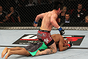 SYDNEY, AUSTRALIA - MARCH 03:  Ian McCall punches down at Demetrious Johnson in a flyweight bout during the UFC on FX event at Allphones Arena on March 3, 2012 in Sydney, Australia.  (Photo by Josh Hedges/Zuffa LLC/Zuffa LLC via Getty Images) *** Local Caption *** Demetrious Johnson; Ian McCall