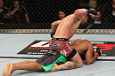 SYDNEY, AUSTRALIA - MARCH 03:  Ian McCall punches down at Demetrious Johnson in a flyweight bout during the UFC on FX event at Allphones Arena on March 3, 2012 in Sydney, Australia.  (Photo by Josh Hedges/Zuffa LLC/Zuffa LLC via Getty Images) *** Local Caption *** Demetrious Johnson; Ian McCall